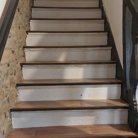 Studio Cebelica بيران المظهر الخارجي الصورة