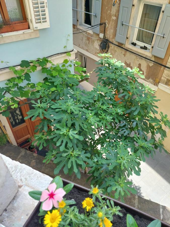 Studio Cebelica بيران المظهر الخارجي الصورة