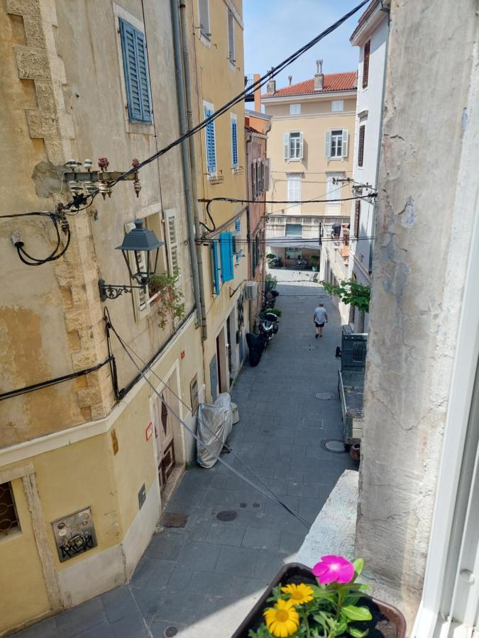 Studio Cebelica بيران المظهر الخارجي الصورة