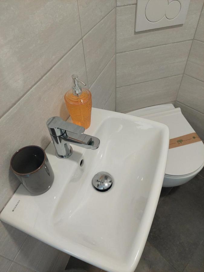 Studio Cebelica بيران المظهر الخارجي الصورة